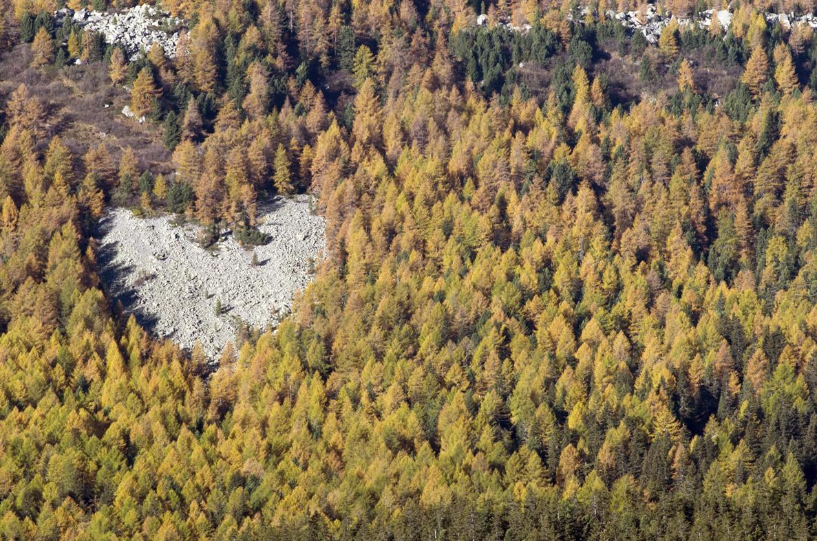 Casa Le Rondini Lägenhet Valdisotto Exteriör bild